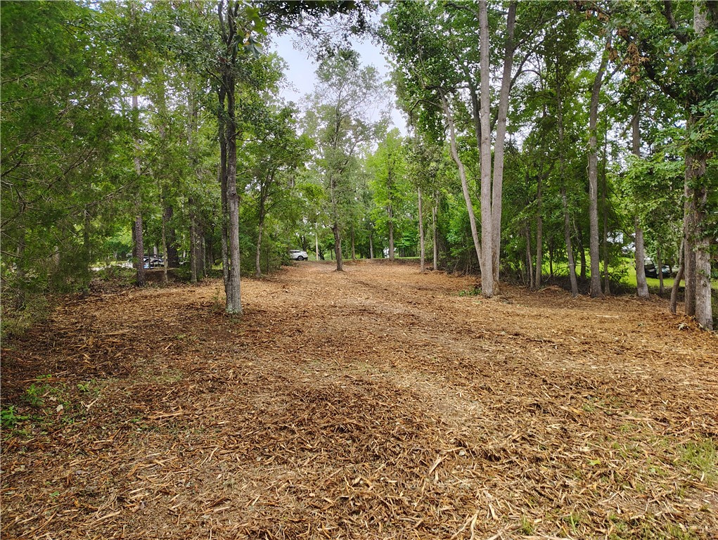 369 Paradise Point Abbeville, SC 29620 - Photo 35 of 35 Gallery Image 35
