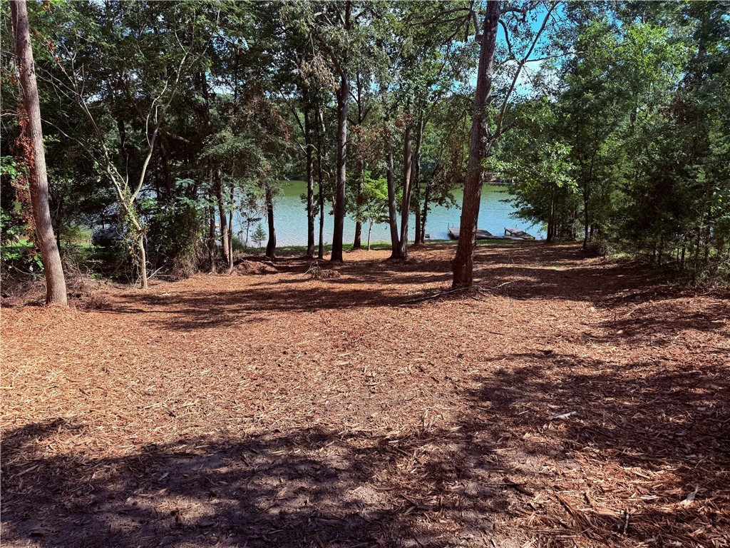 369 Paradise Point Abbeville, SC 29620 - Photo 4 of 35 Gallery Image 4