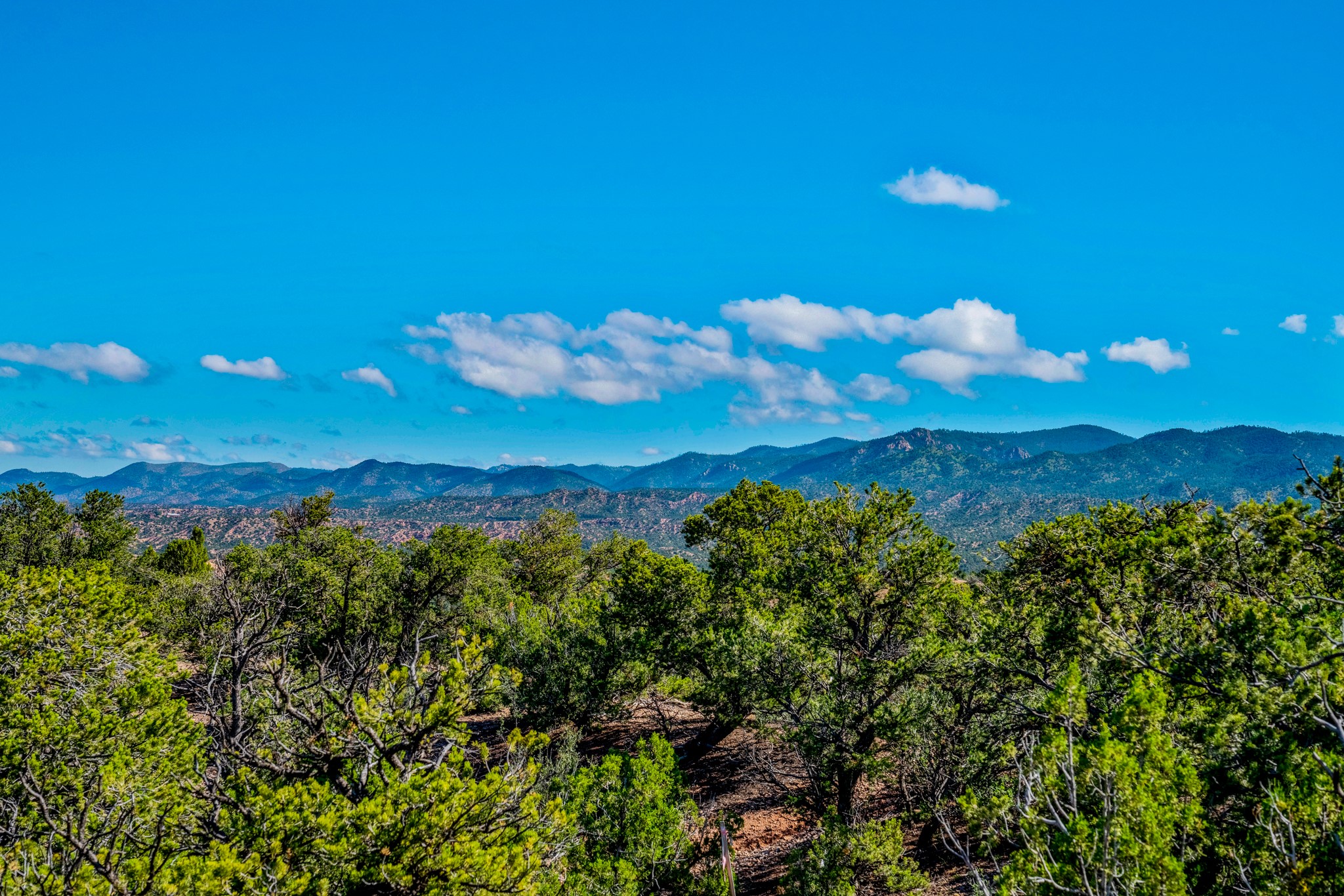 56 Tesuque Ridge Santa Fe, NM 87501 - Photo 4 of 6