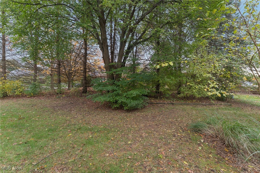 6930 Firestone Road Northeast Canton, OH 44721 - Photo 40 of 49 View of yard