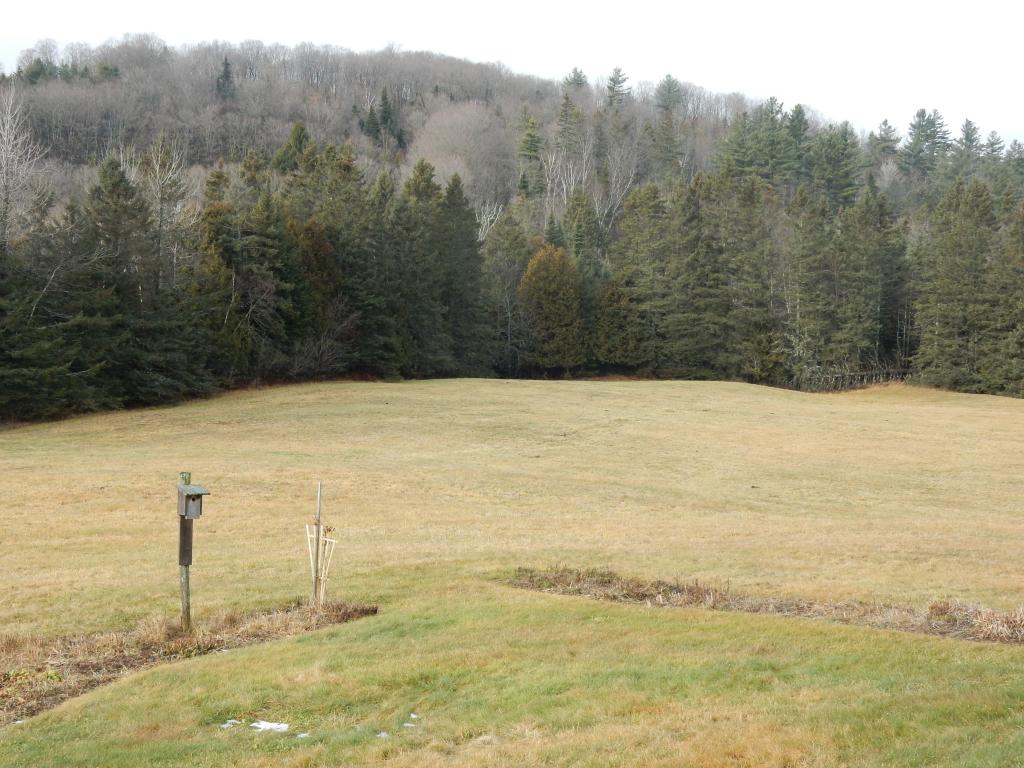 100 Dry Pond Road Glover, VT 05839 - Photo 23 of 28