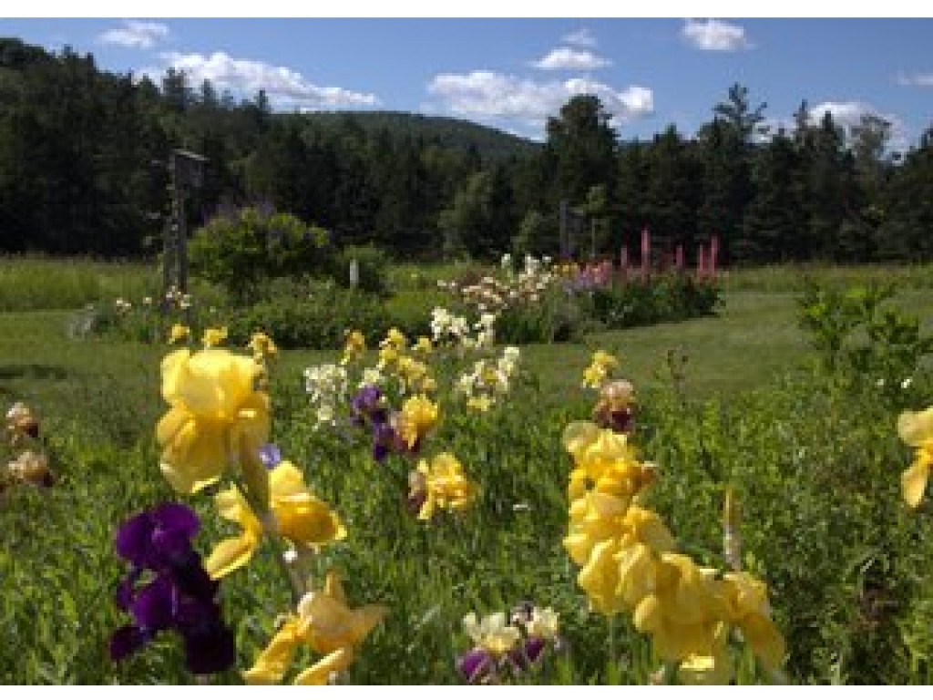 100 Dry Pond Road Glover, VT 05839 - Photo 25 of 28