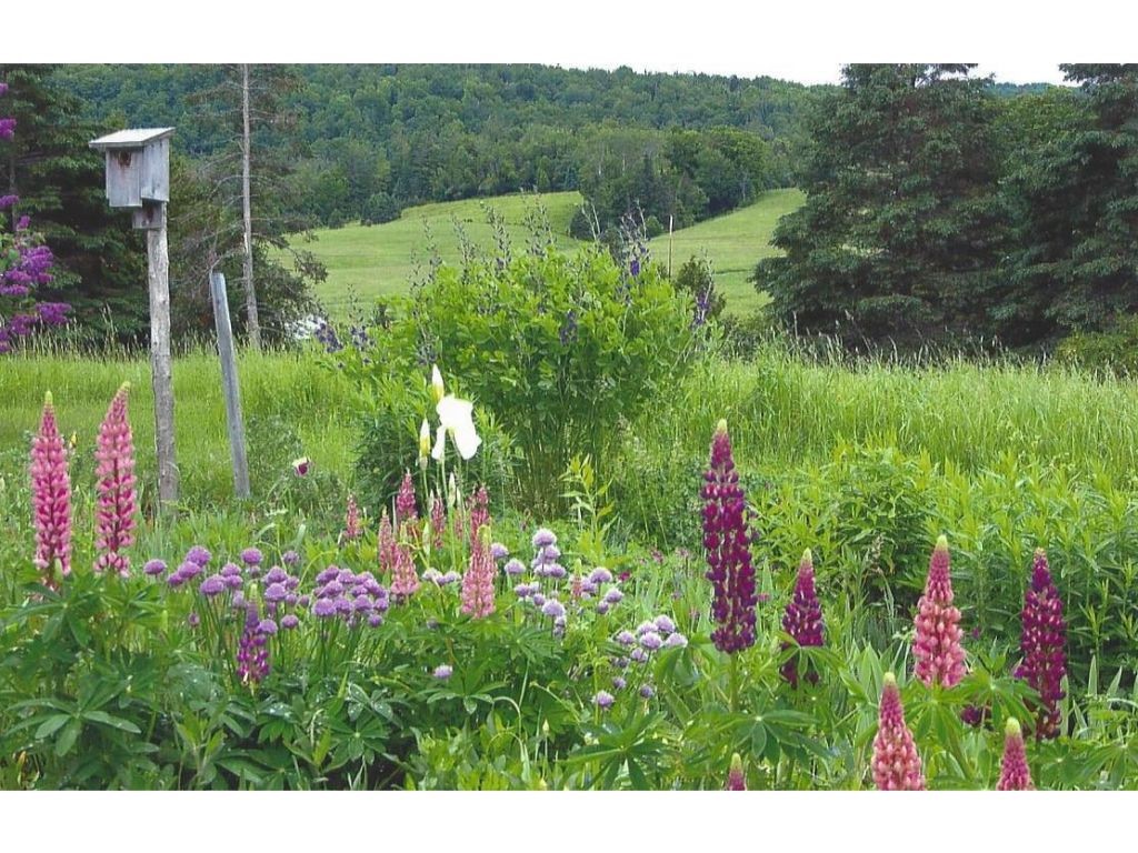 100 Dry Pond Road Glover, VT 05839 - Photo 26 of 28
