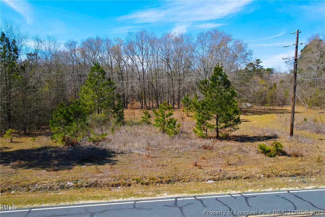 3752 Mckinnon Road Fayetteville, NC 28312 - Photo 5 of 10