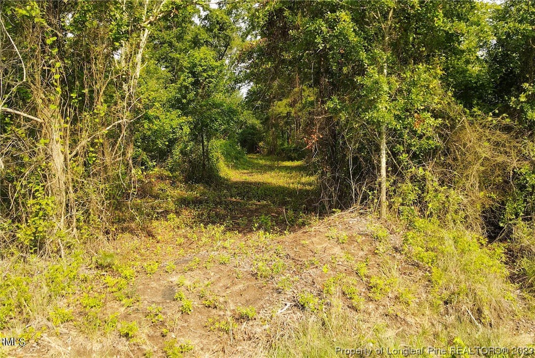 3752 Mckinnon Road Fayetteville, NC 28312 - Photo 6 of 10