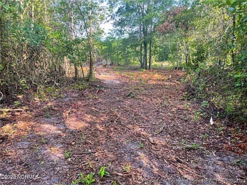 3752 Mckinnon Road Fayetteville, NC 28312 - Photo 8 of 10