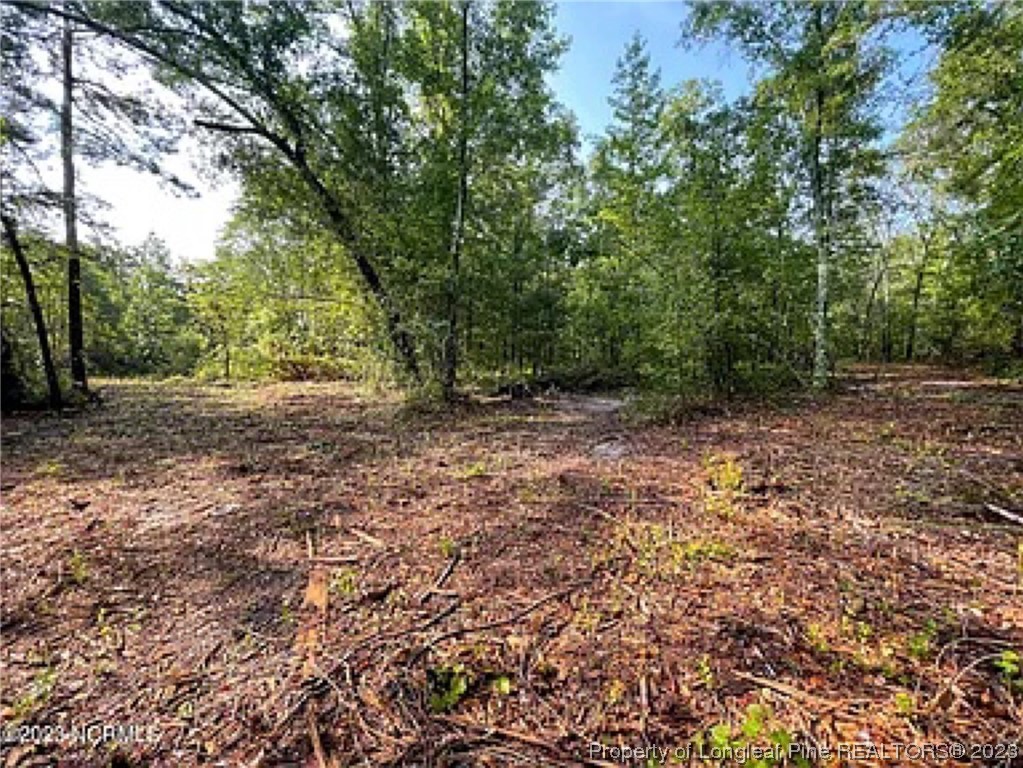 3752 Mckinnon Road Fayetteville, NC 28312 - Photo 9 of 10