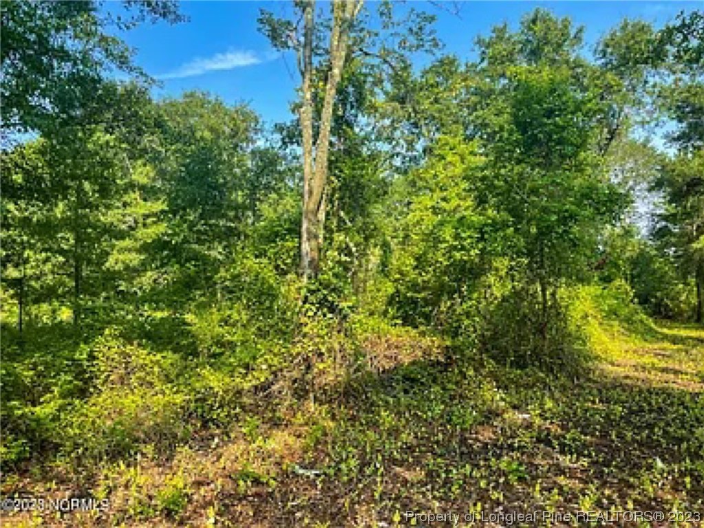 3752 Mckinnon Road Fayetteville, NC 28312 - Photo 10 of 10