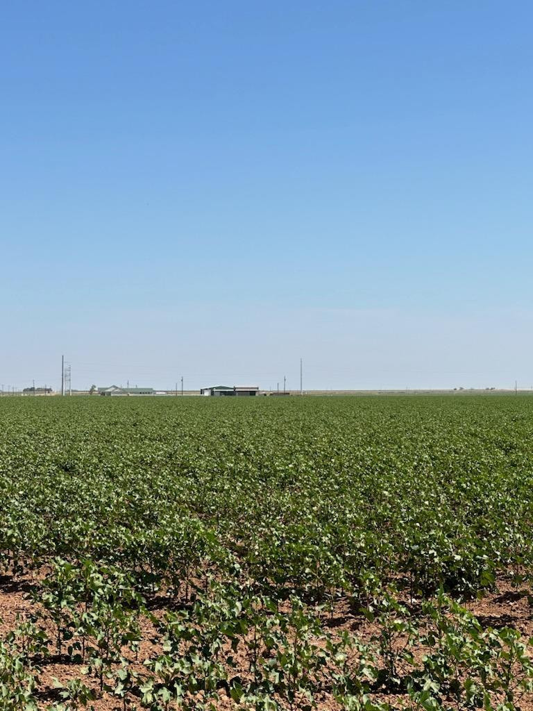 0 Fm 2192 Wilson, TX 79381 - Photo 2 of 2 a view of a field with an ocean