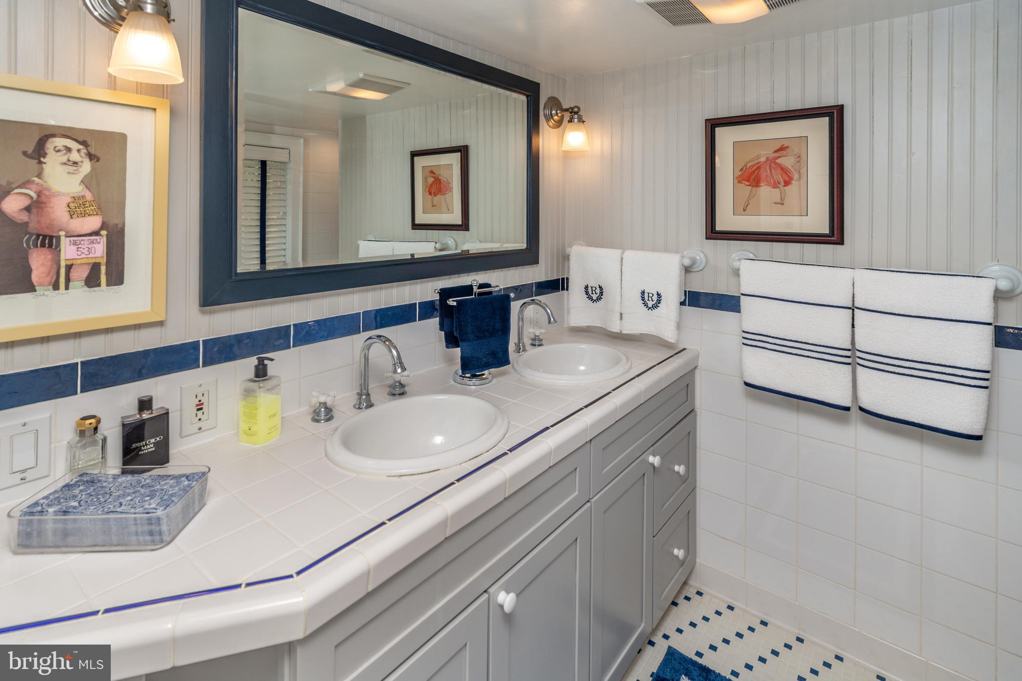 6103 Upper York Road New Hope, PA 18938 - Photo 46 of 81 Full Bath in a blue & white theme