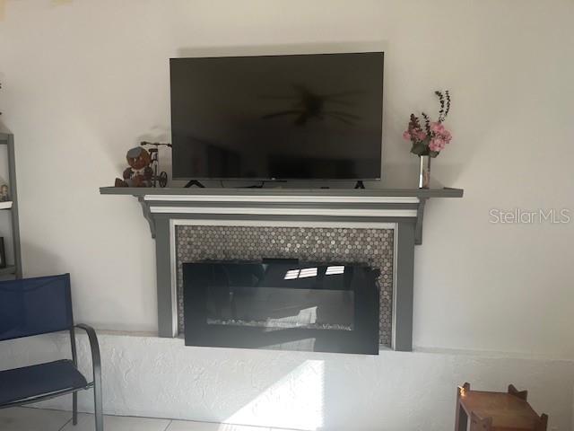 9030 Hernando Way Weeki Wachee, FL 34613 - Photo 39 of 40 a living room with a fireplace and a potted plant