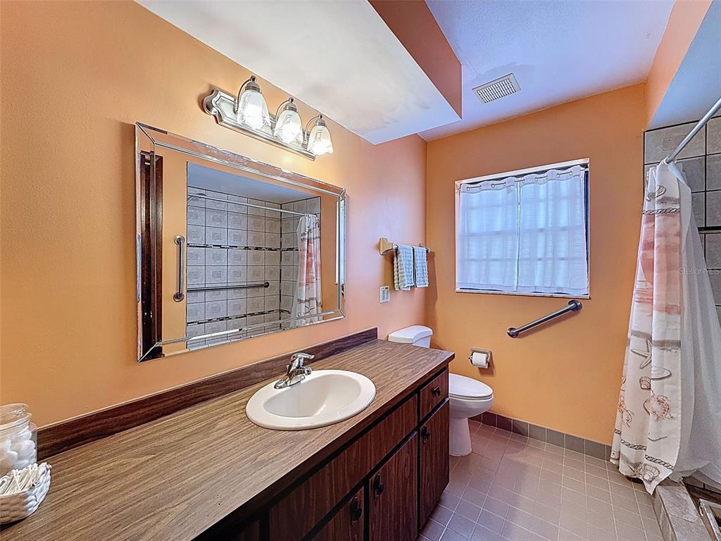 9030 Hernando Way Weeki Wachee, FL 34613 - Photo 44 of 67 a bathroom with a sink and a mirror