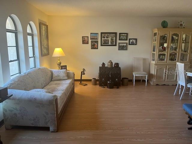 9030 Hernando Way Weeki Wachee, FL 34613 - Photo 6 of 40 a living room with furniture and a lamp