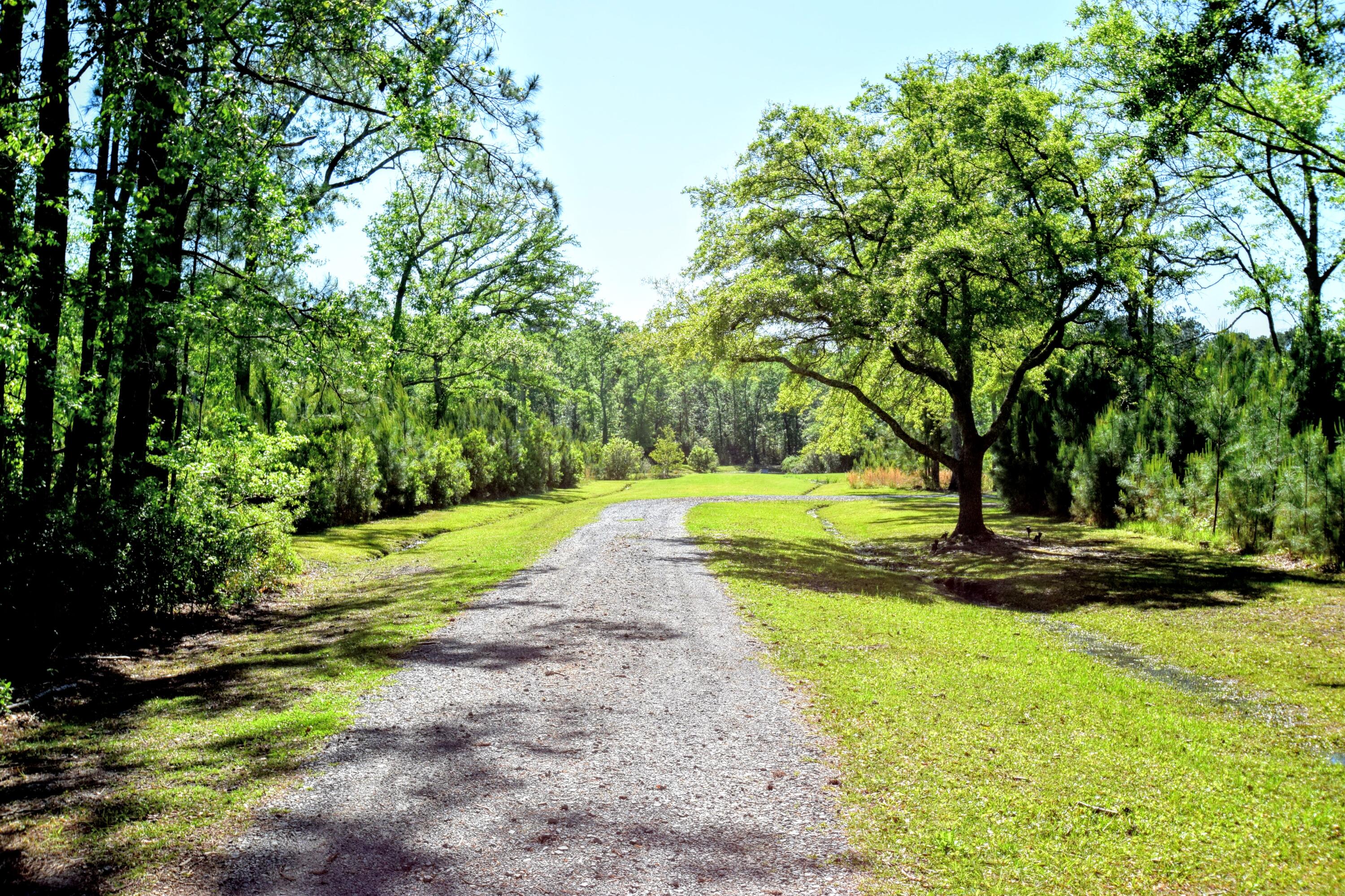 6870 Early Jersey Road Meggett, SC 29449 - Photo 11 of 37 Grand Entrance