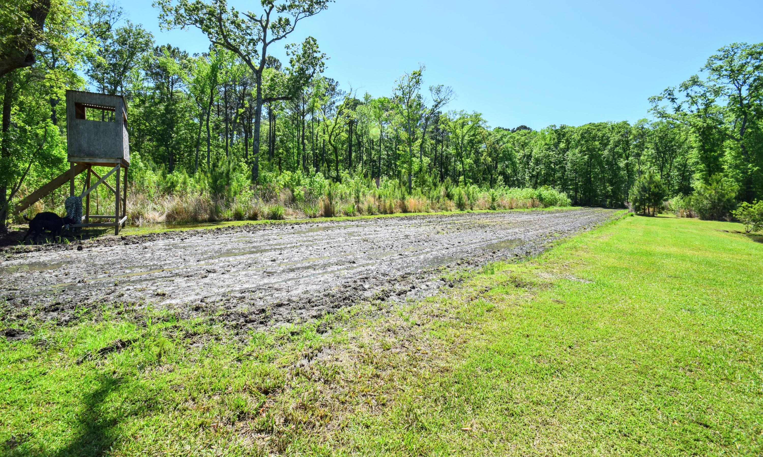 6870 Early Jersey Road Meggett, SC 29449 - Photo 13 of 37 Deer Stand & Food Plot