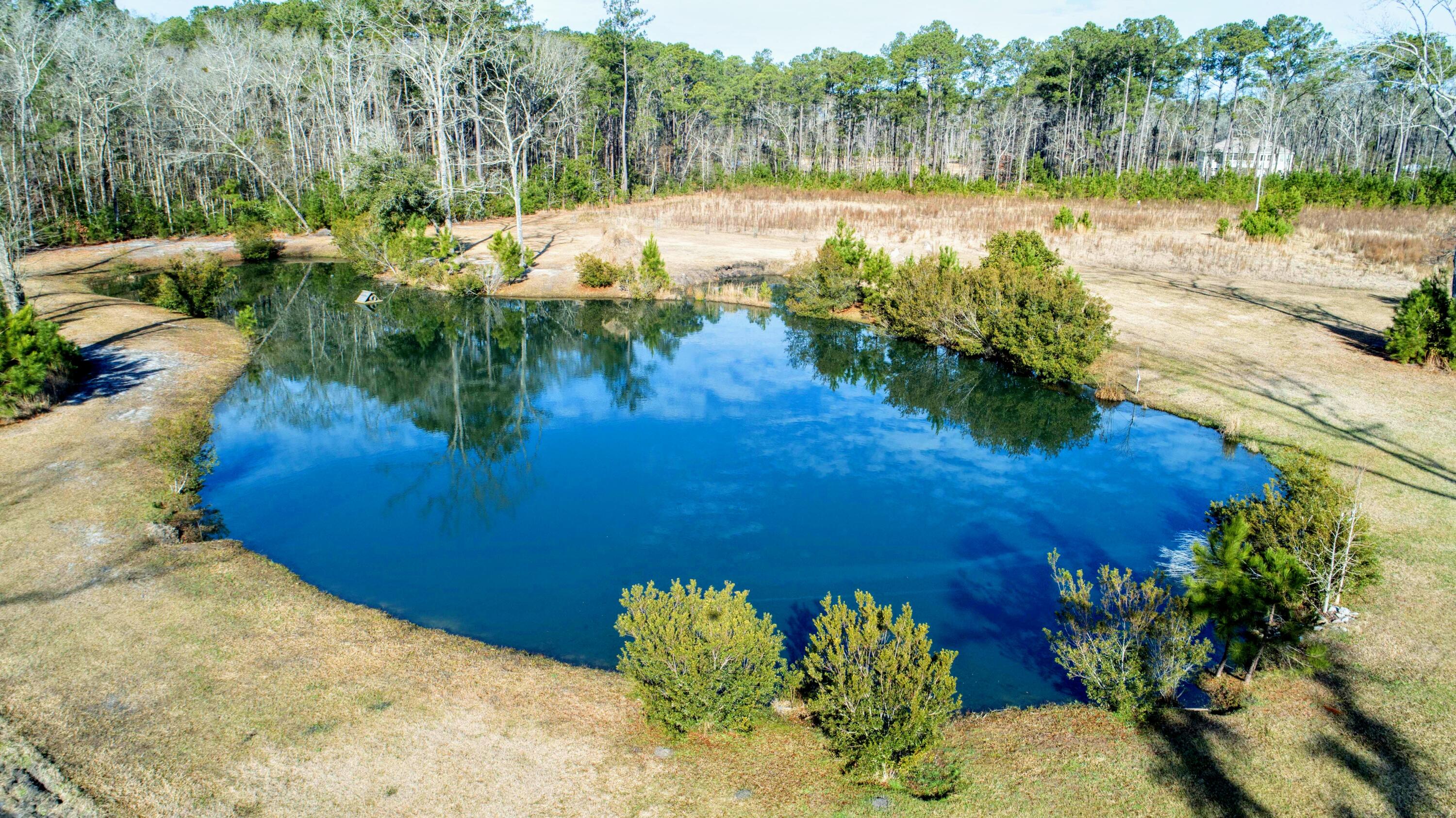 6870 Early Jersey Road Meggett, SC 29449 - Photo 16 of 37 Stocked Pond