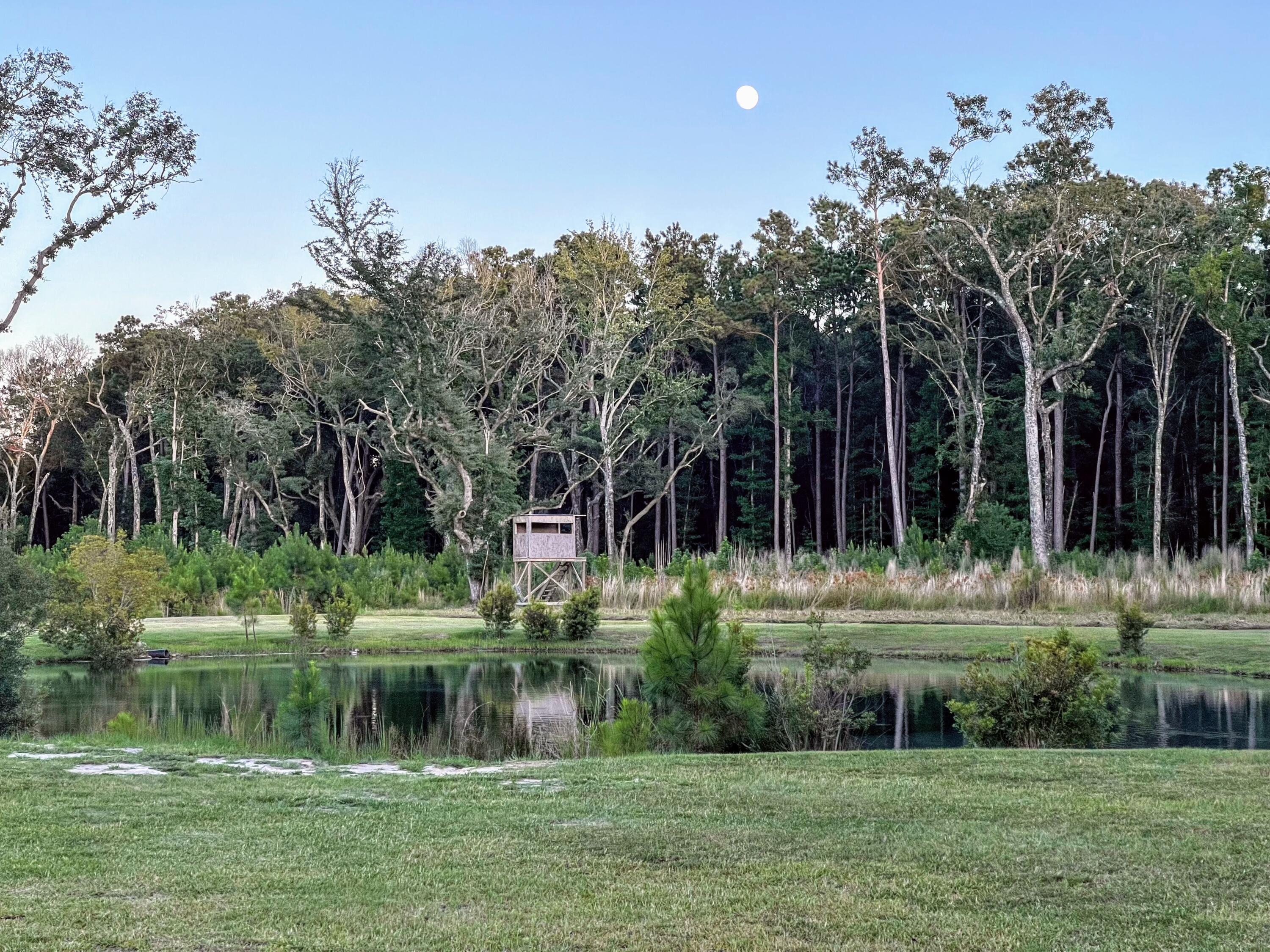 6870 Early Jersey Road Meggett, SC 29449 - Photo 21 of 37 Pond & Pasture