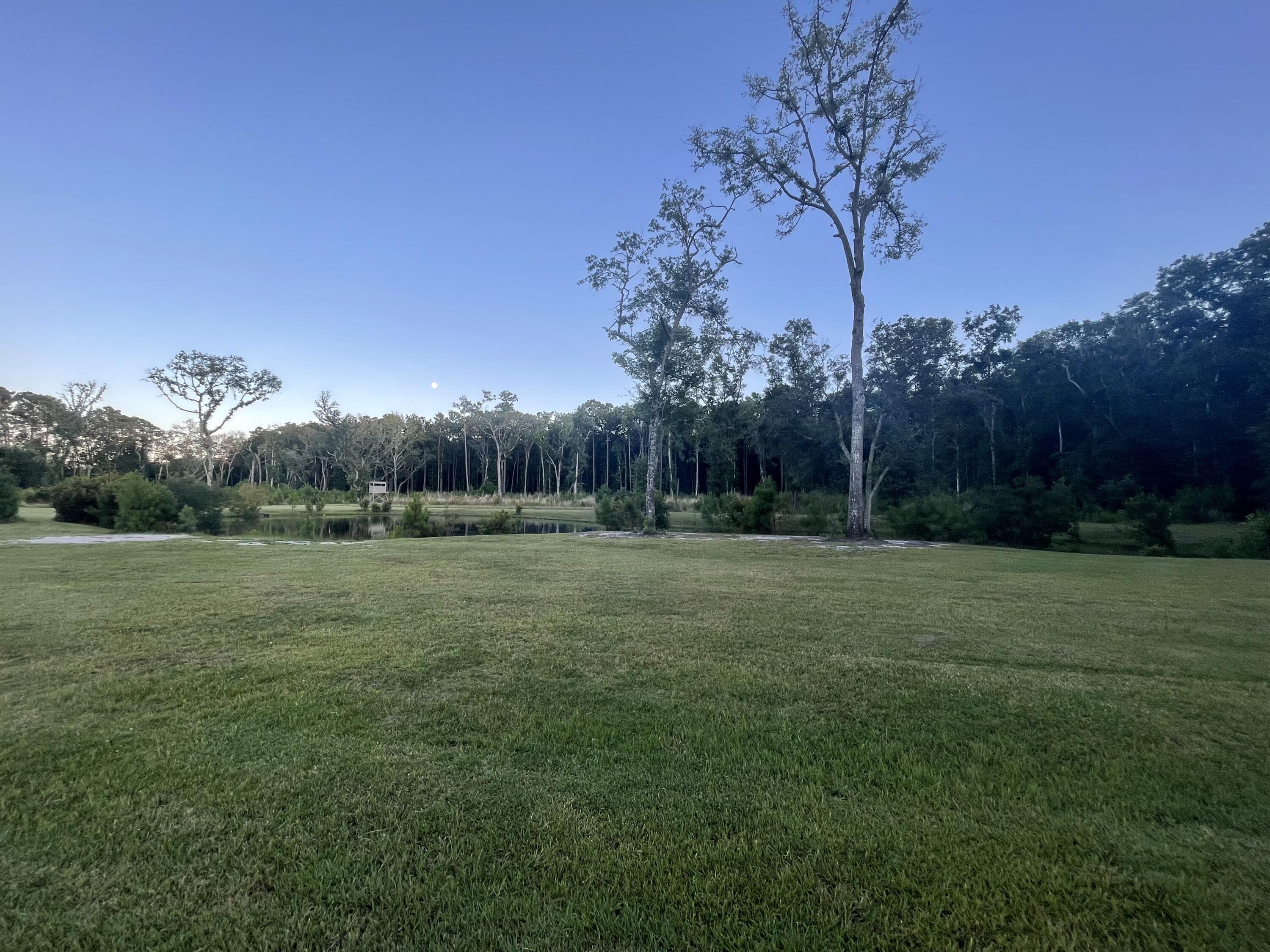 6870 Early Jersey Road Meggett, SC 29449 - Photo 22 of 37 Pond & Pasture