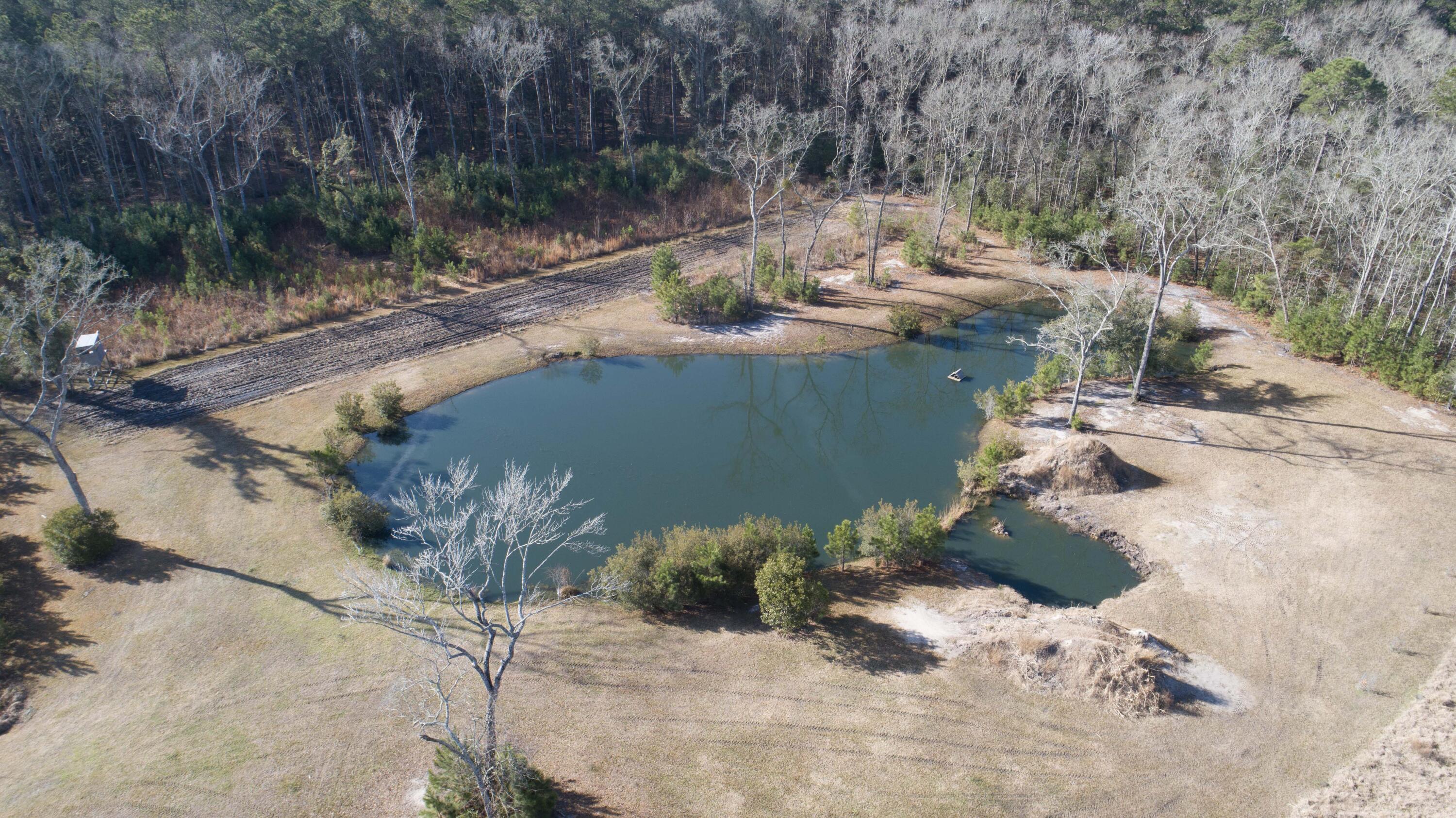 6870 Early Jersey Road Meggett, SC 29449 - Photo 25 of 37 Stocked Pond