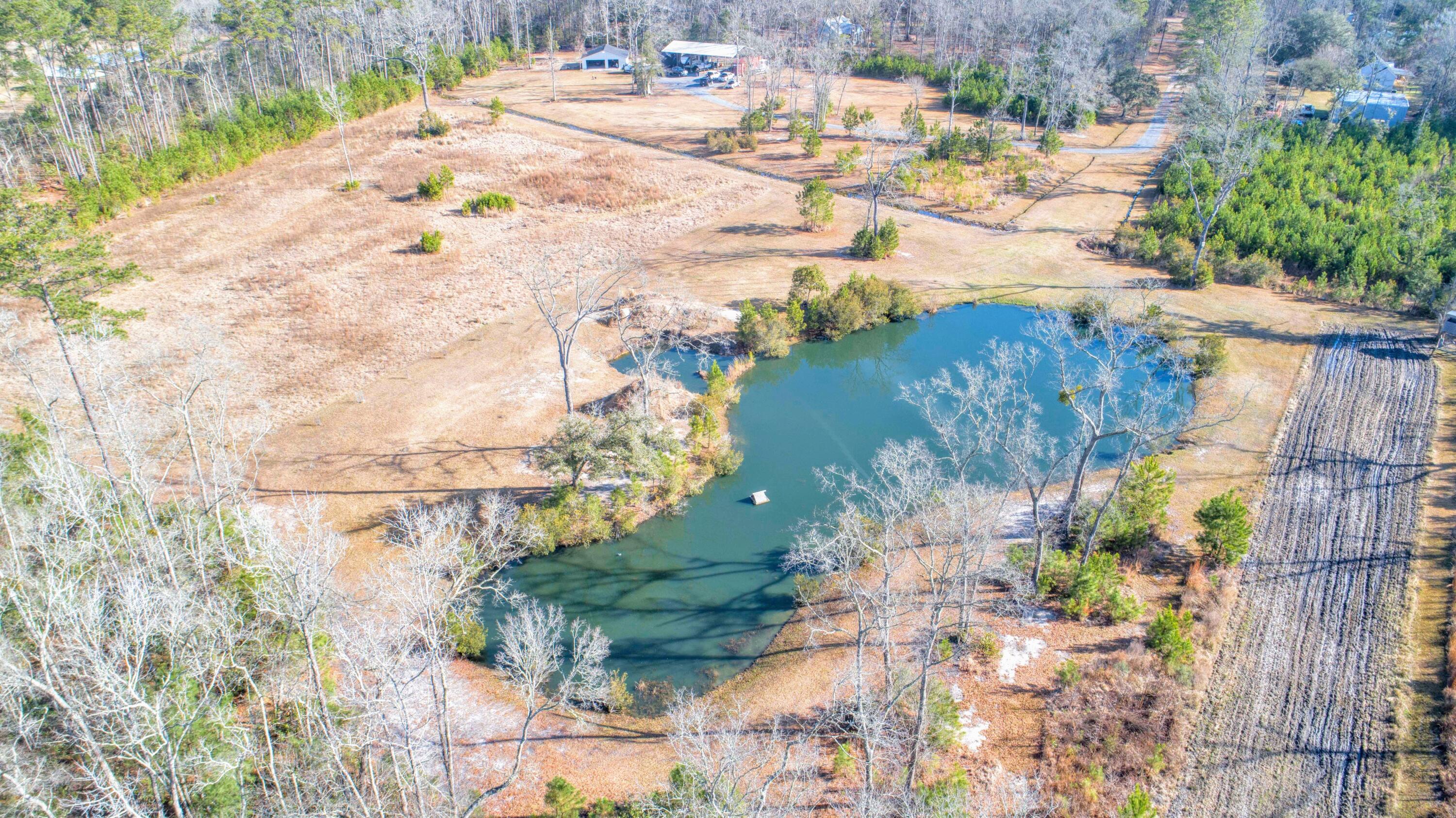 6870 Early Jersey Road Meggett, SC 29449 - Photo 26 of 37 Pond and Pasture