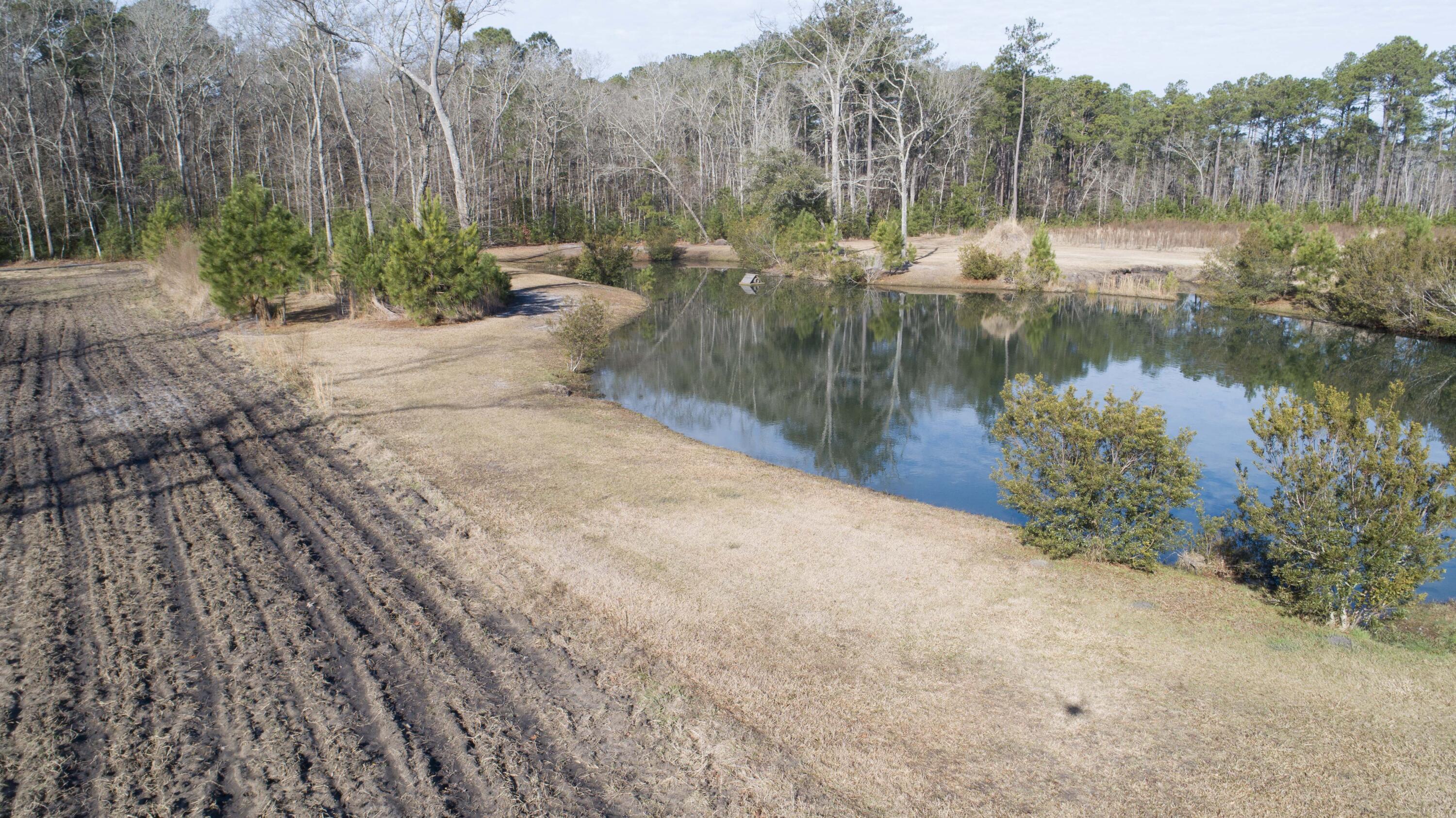 6870 Early Jersey Road Meggett, SC 29449 - Photo 27 of 37 Food Plot & Pond