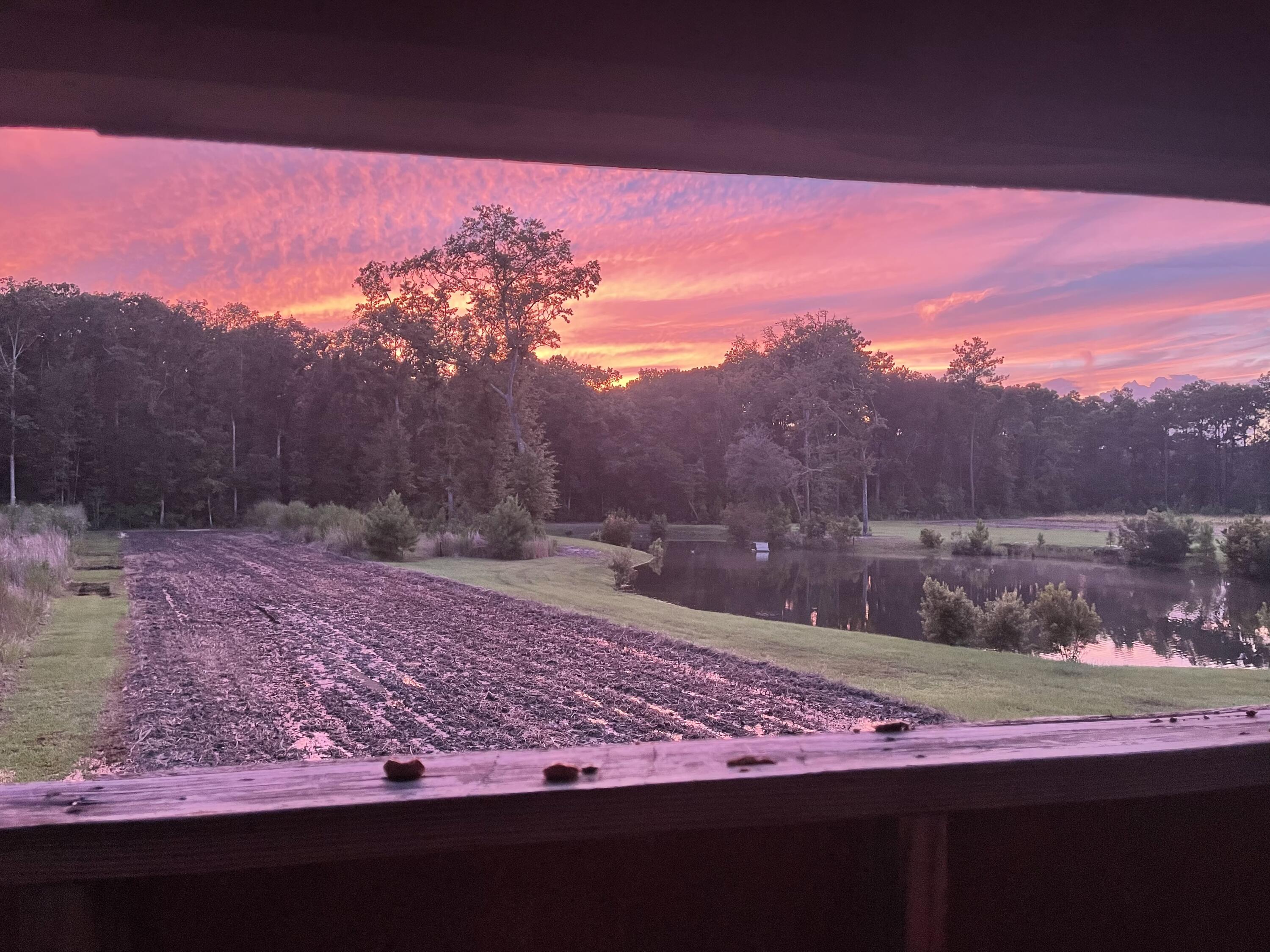 6870 Early Jersey Road Meggett, SC 29449 - Photo 31 of 37 Deer Stand Sunset