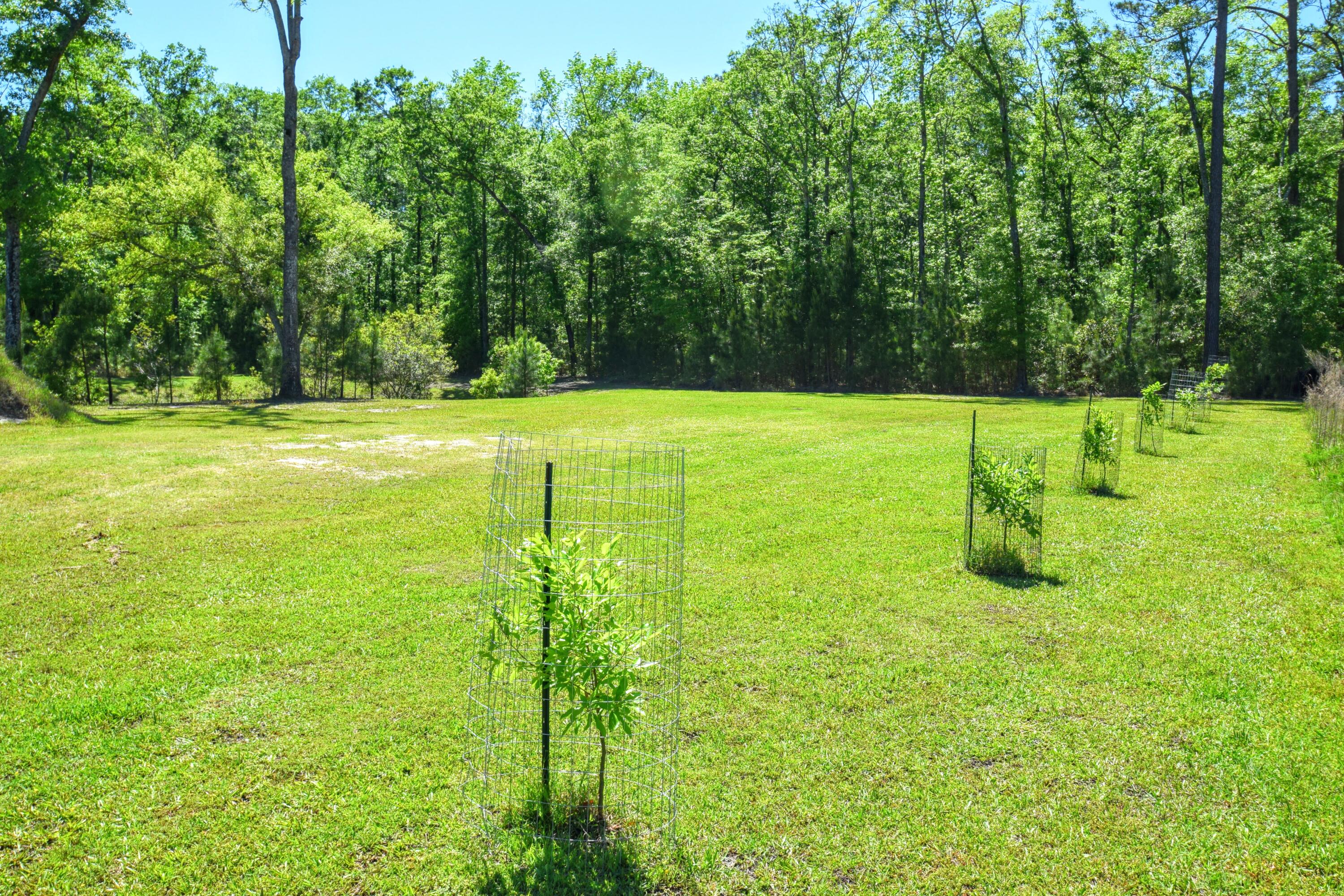 6870 Early Jersey Road Meggett, SC 29449 - Photo 33 of 37 Homesite Possibility