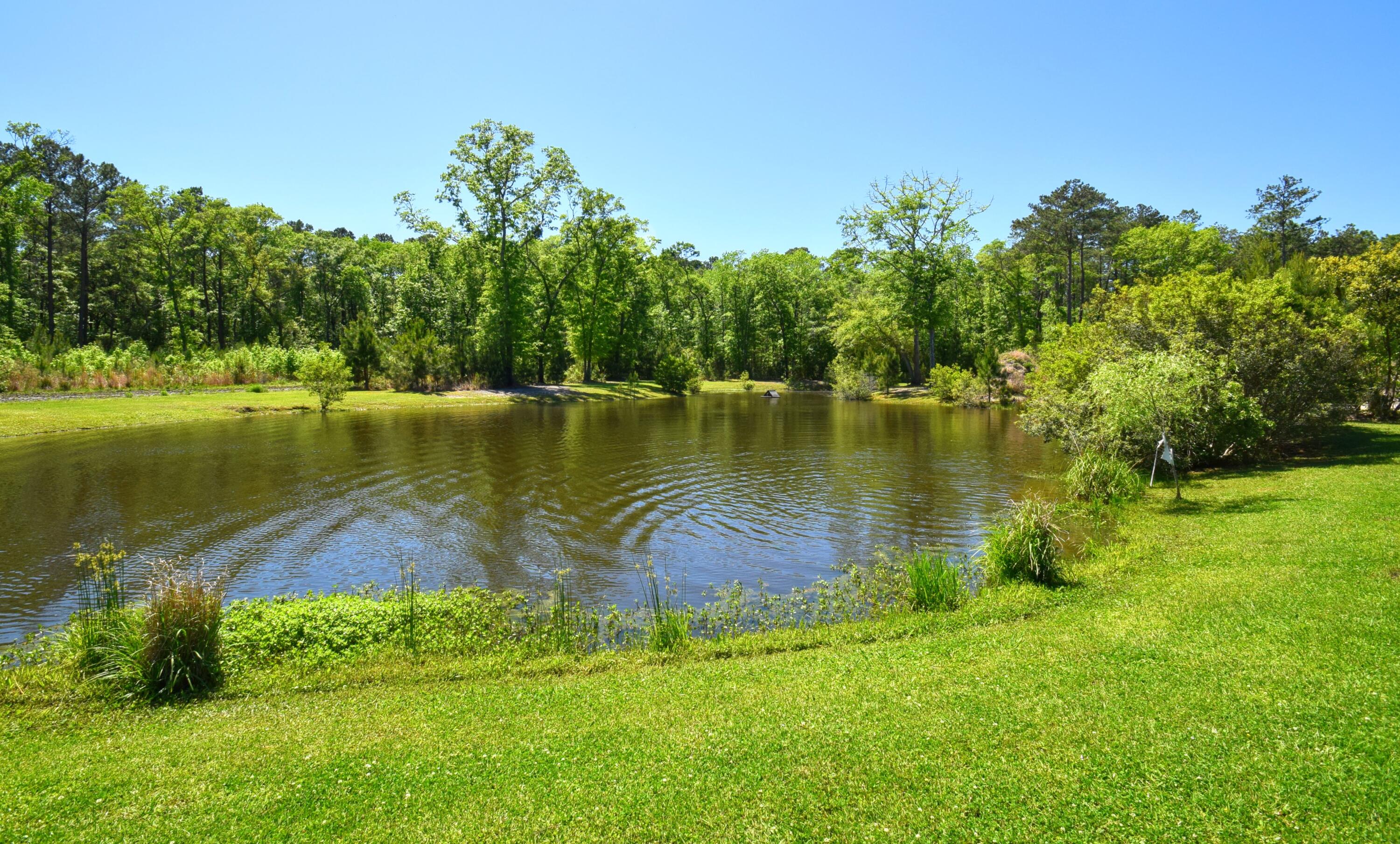 6870 Early Jersey Road Meggett, SC 29449 - Photo 6 of 37 Stocked Pond