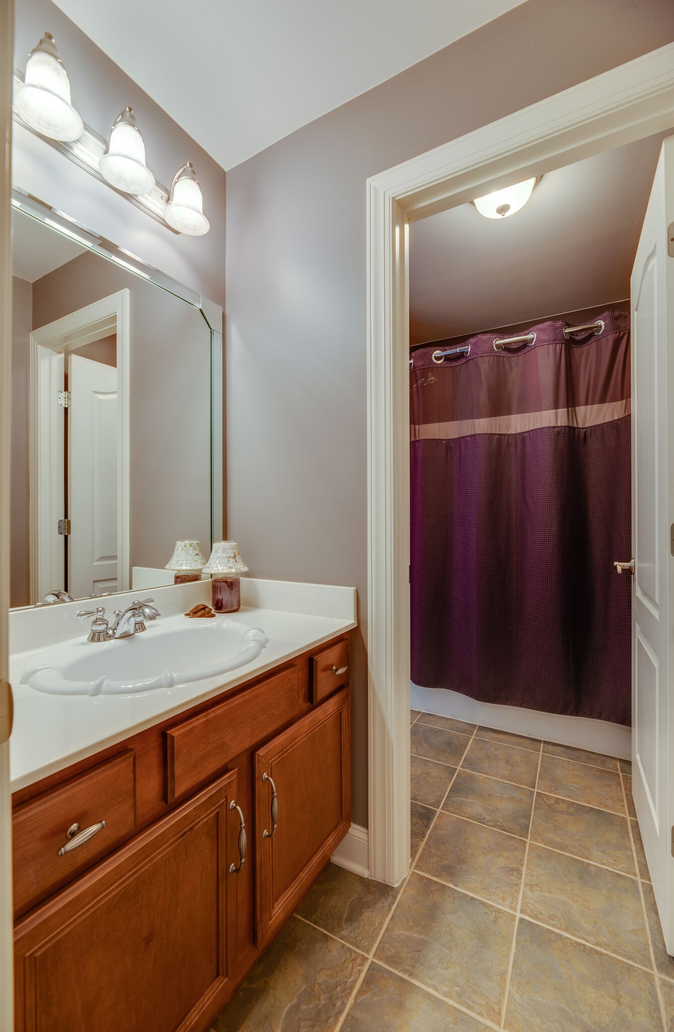 1215 White Rock Road Spring Hill, TN 37174 - Photo 29 of 42 a bathroom with a sink a vanity and a mirror