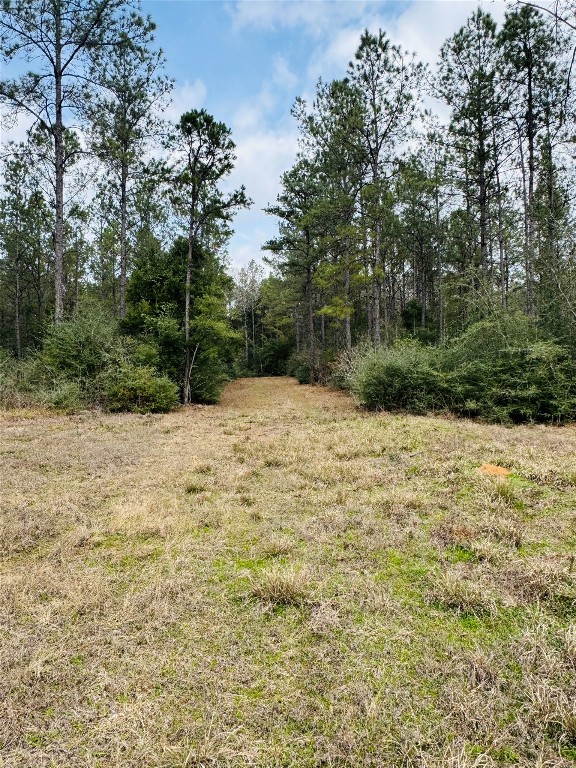 2071 Camp Seale Road Livingston, TX 77351 - Photo 20 of 28 a backyard of a house with lots of green space