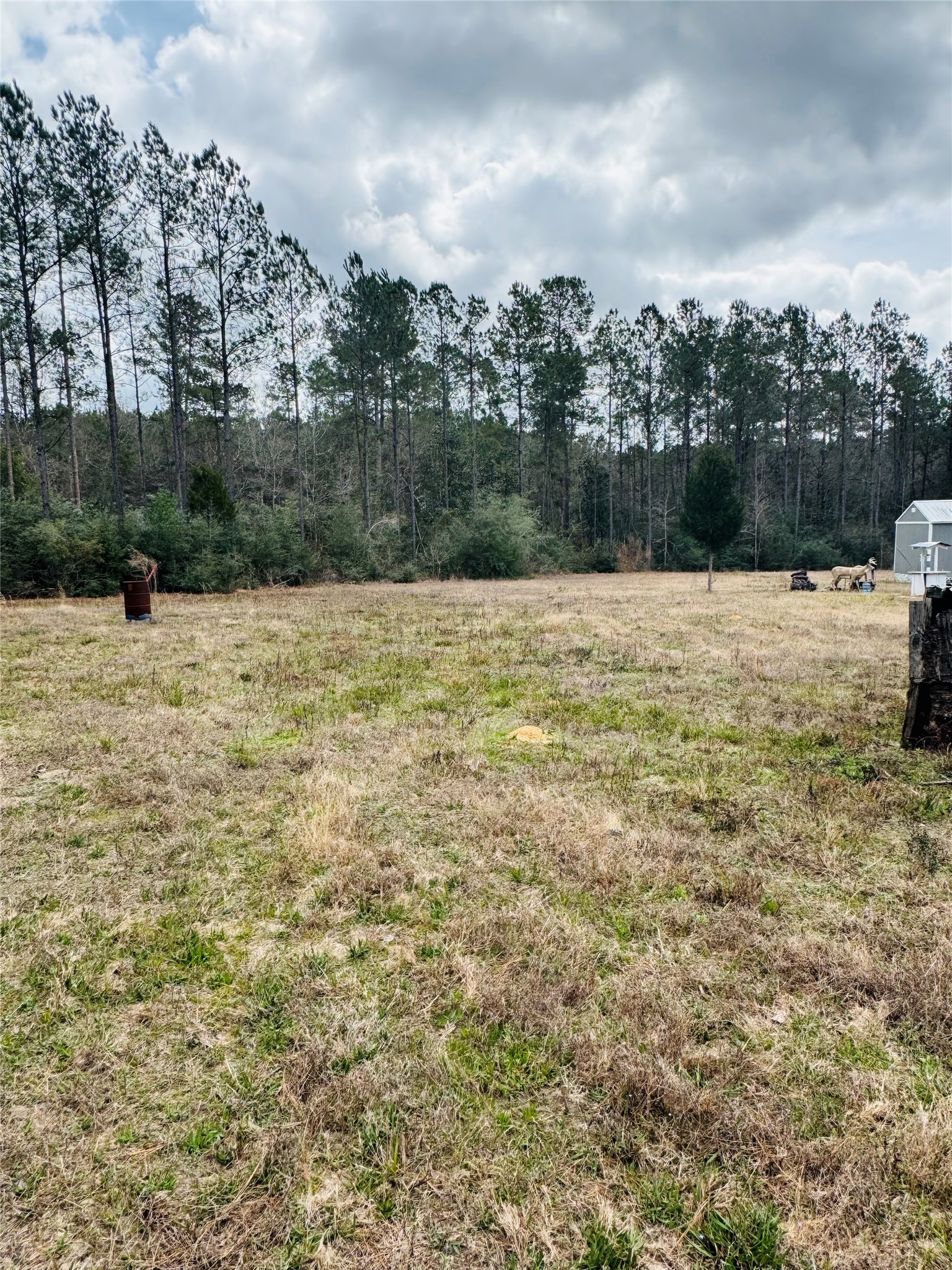 2071 Camp Seale Road Livingston, TX 77351 - Photo 21 of 28 a view of a lake view