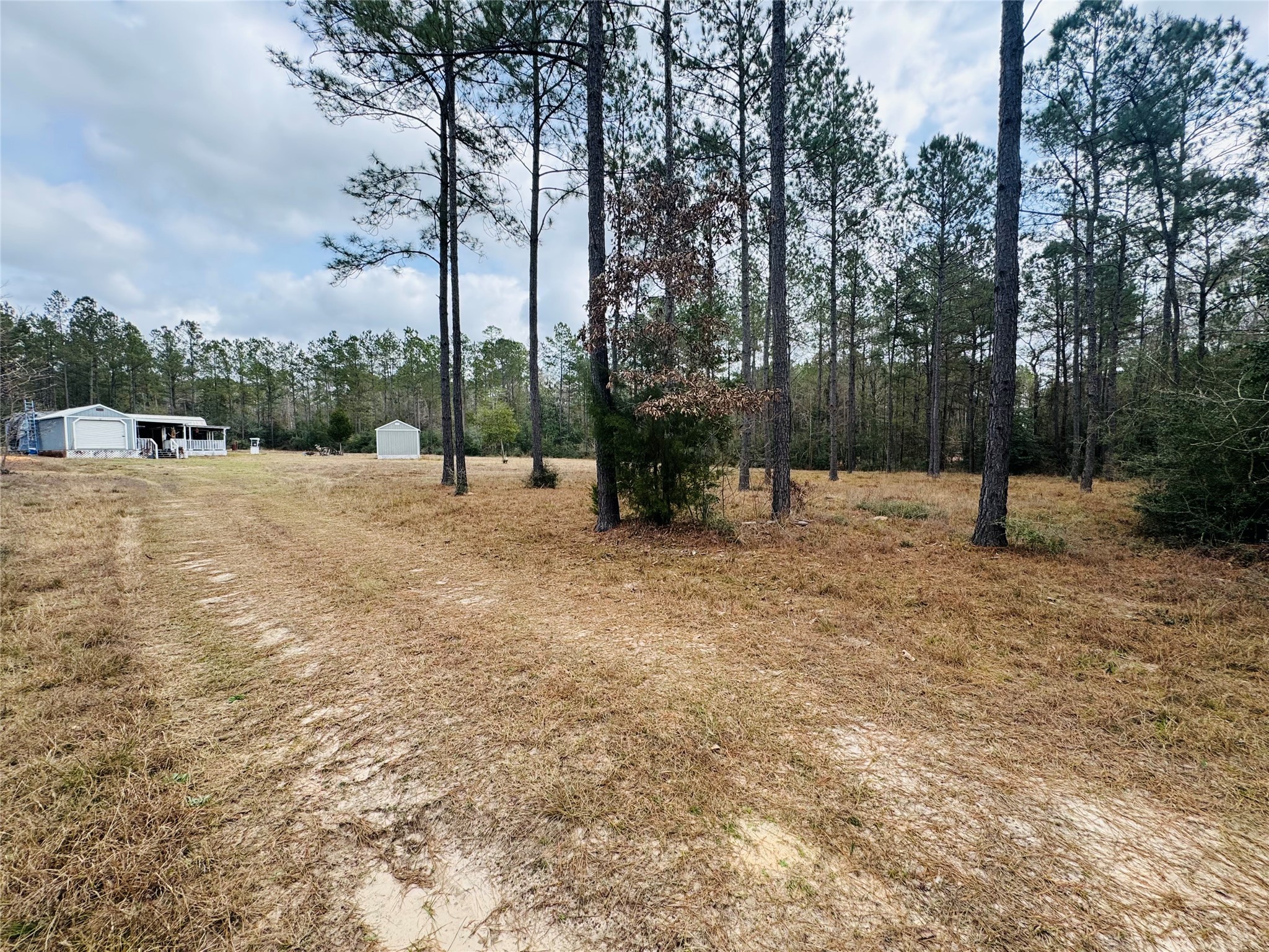 2071 Camp Seale Road Livingston, TX 77351 - Photo 24 of 28 a view of outdoor space with trees