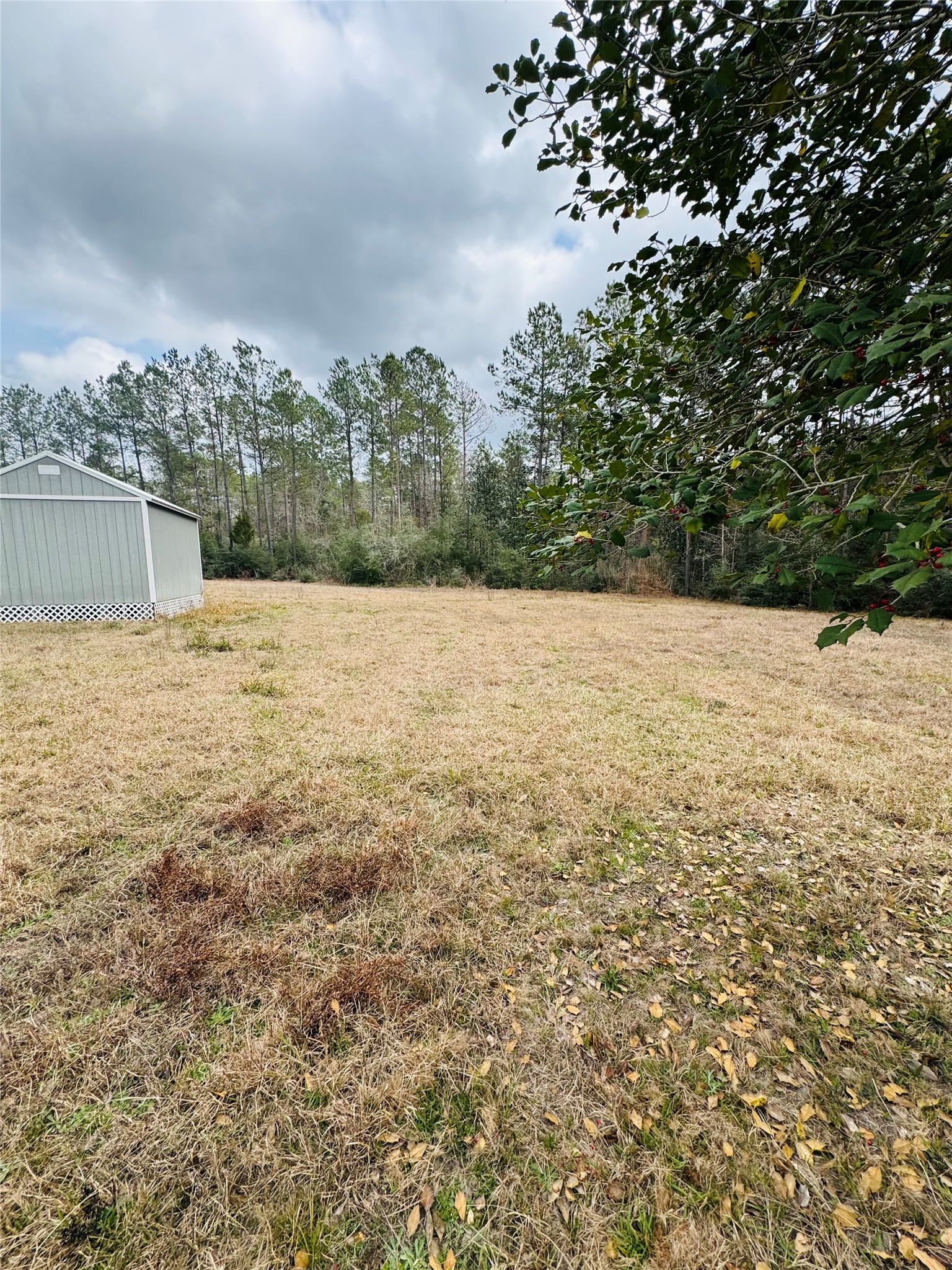 2071 Camp Seale Road Livingston, TX 77351 - Photo 27 of 28 a view of an ocean