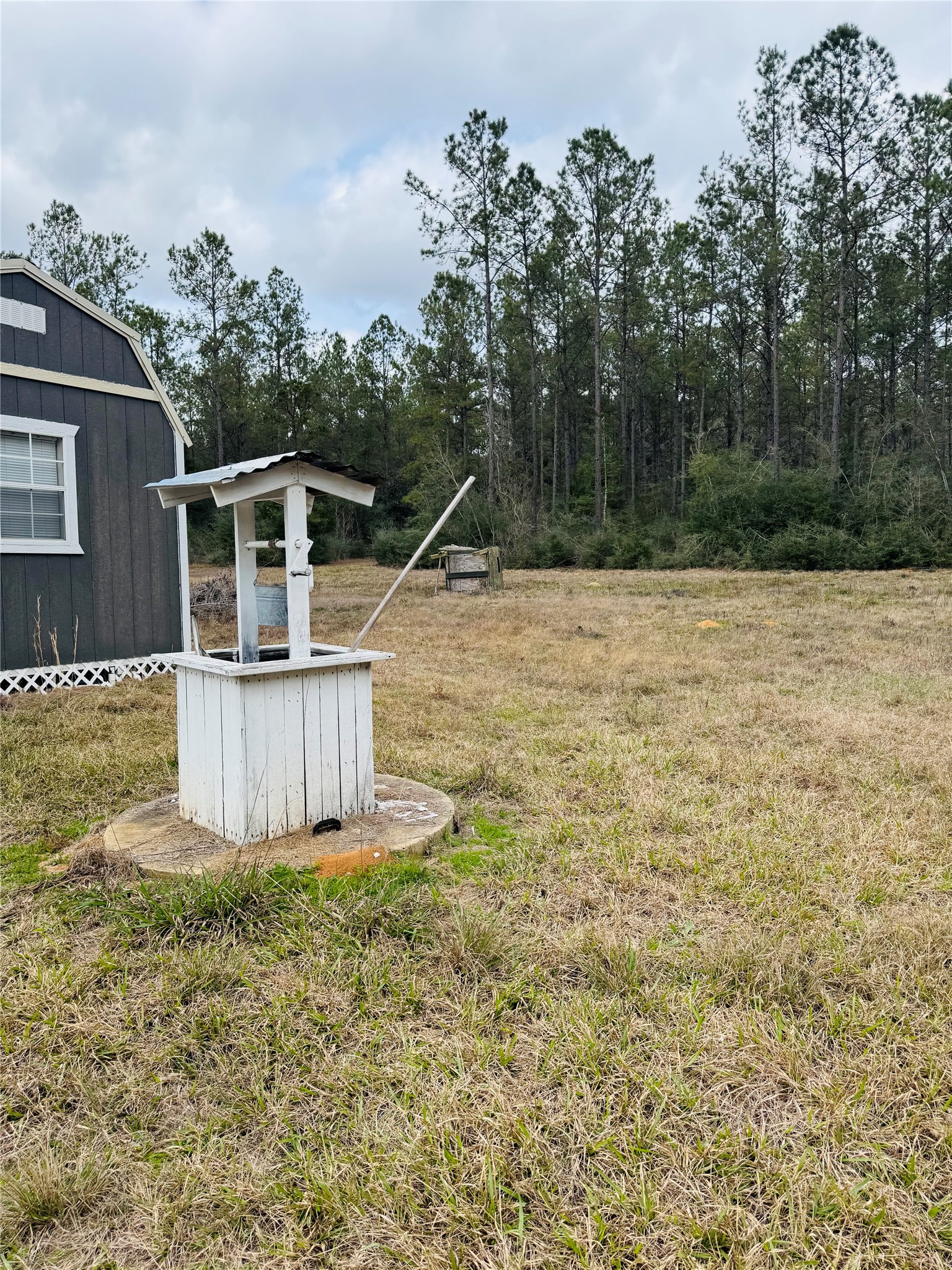2071 Camp Seale Road Livingston, TX 77351 - Photo 6 of 28 a view of a backyard