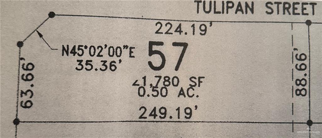 2909 Yasmin Street Donna, TX 78537 - Photo 7 of 7