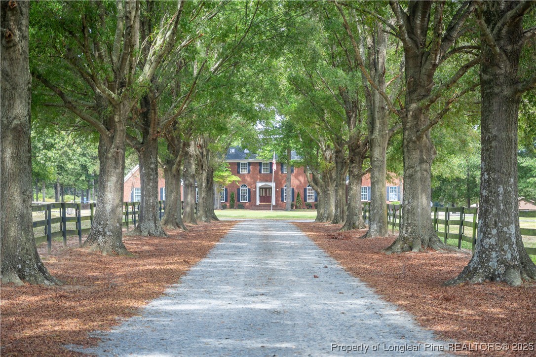 387 3 Bridge Road Dunn, NC 28334 - Photo 3 of 49 a view of a yard with plants and trees