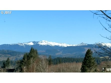 352 Mt Pleasant Road Washougal, WA 98671 - Photo 28 of 30 Gallery Image 28