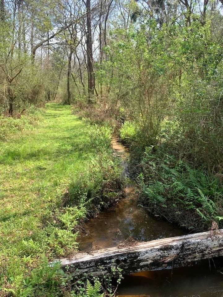 26264 Feely Road Elberta, AL 36530 - Photo 24 of 30