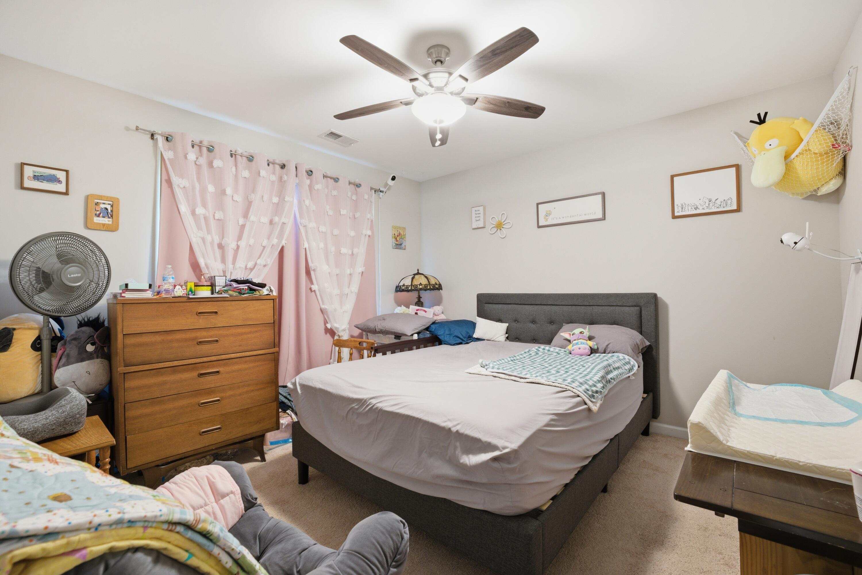 8120 Ronda Drive Charleston, SC 29406 - Photo 20 of 35 P1082989