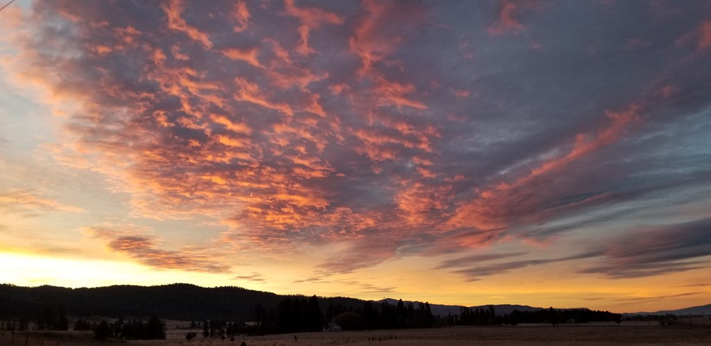 13576 Farm To Market Road McCall, ID 83638 - Photo 3 of 45