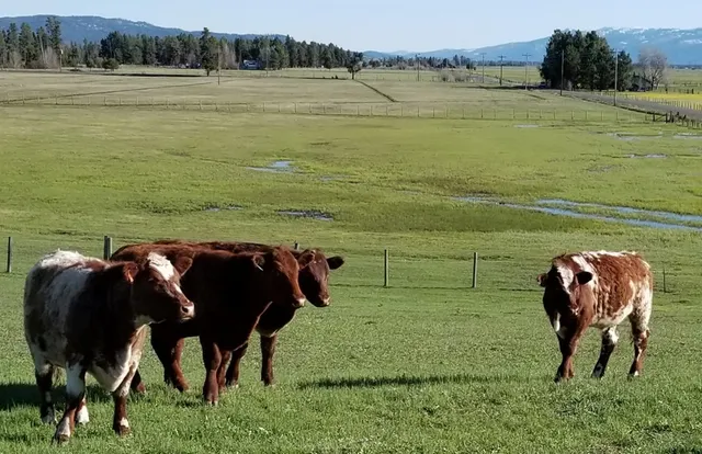 $850,000 | 13576 Farm To Market Road, McCall, ID 83638