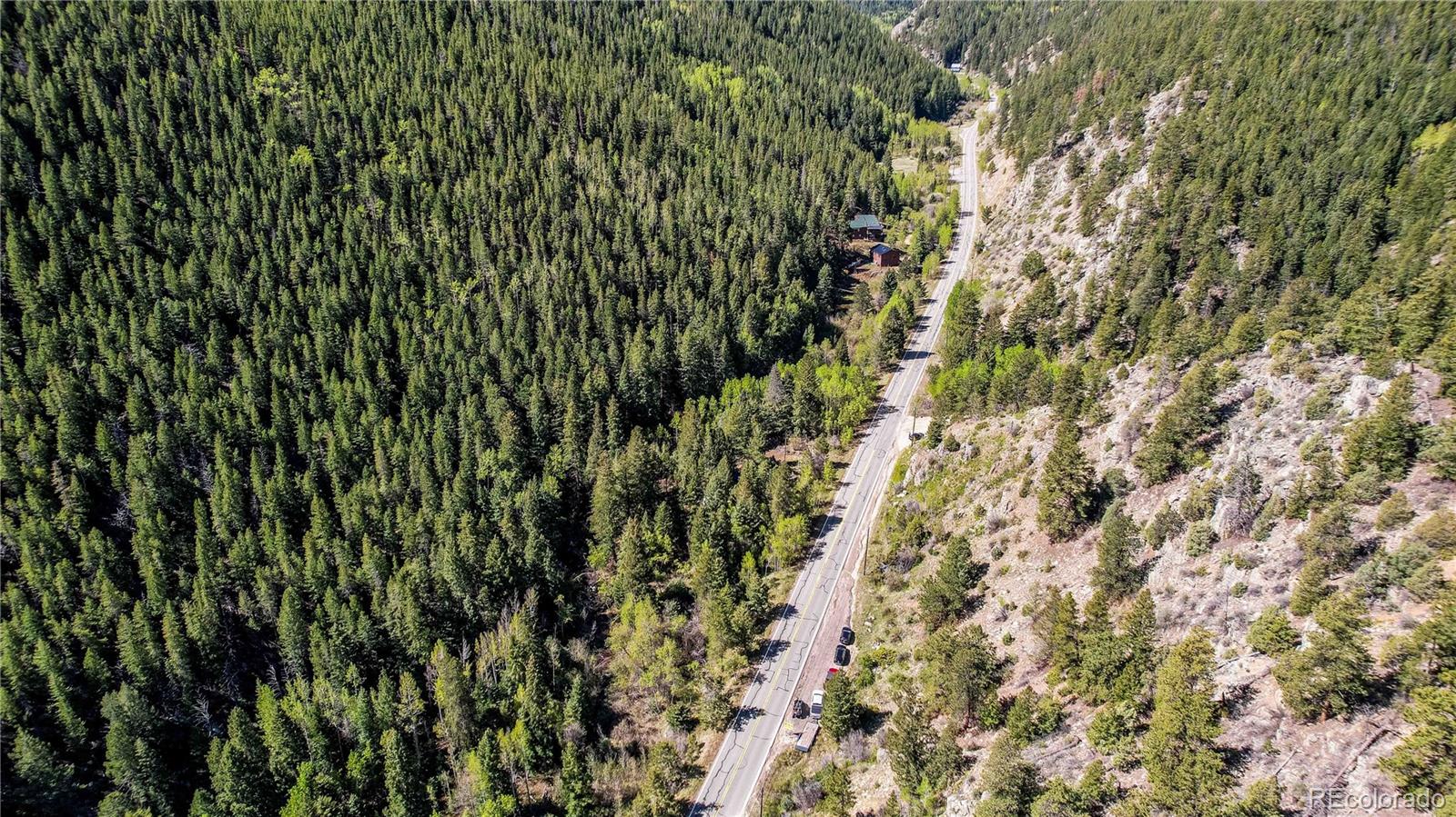 103 Cascade Creek Road Idaho Springs, CO 80452 - Photo 16 of 40 a view of a lush green forest