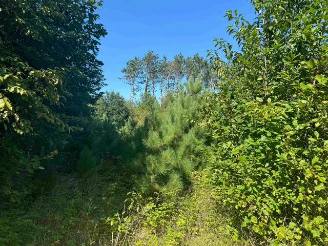 $29,900 | Lake Drive, Unit 35/36, Gresham, WI 54128