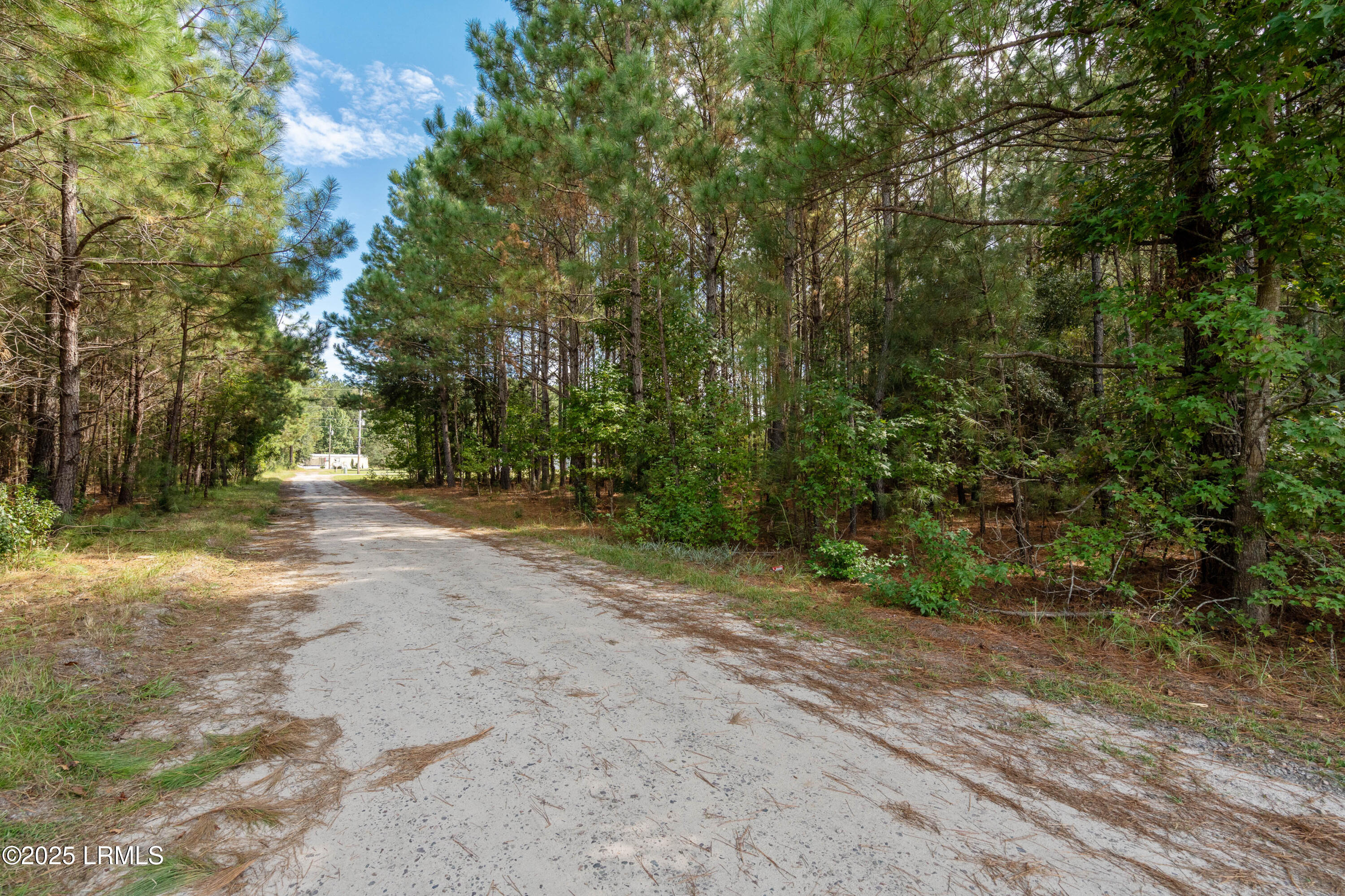 Tbd Sam Wright Road Ridgeland, SC 29936 - Photo 3 of 27 Sam Wright-3