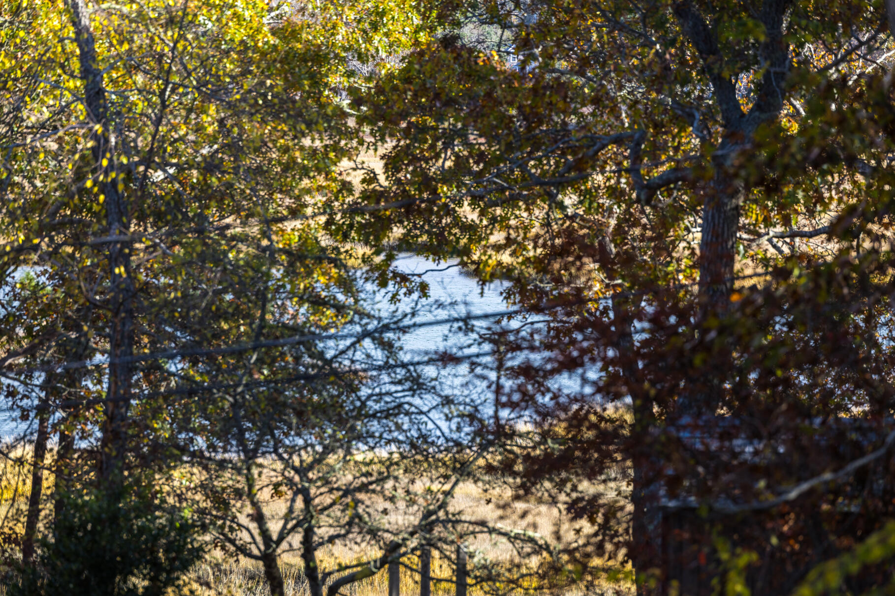 25 1st Avenue Wellfleet, MA 02667 - Photo 45 of 56 9L4A3351