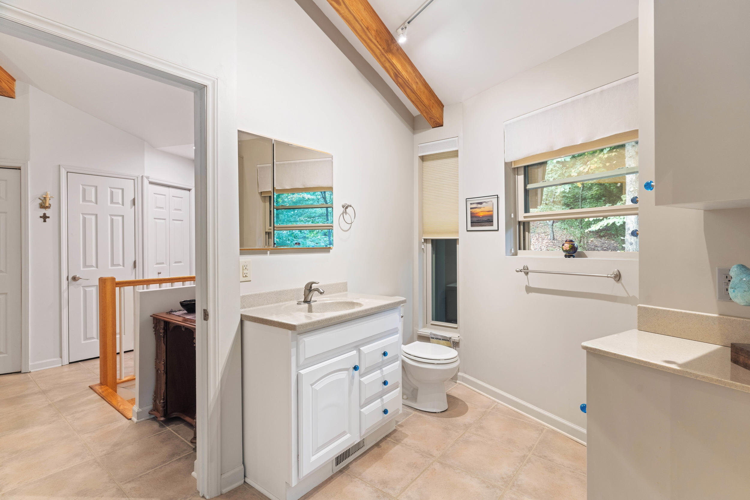 1778 Carroll Road Goodview, VA 24095 - Photo 60 of 97 a bathroom with a toilet sink and mirror