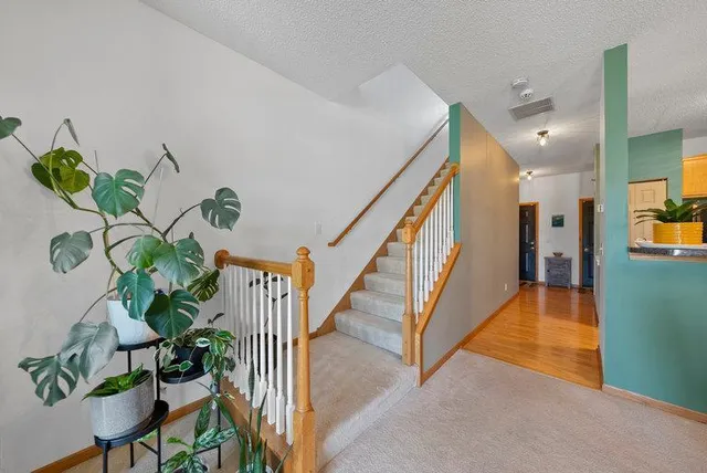 $229,000 | 849 Providence Drive, Shakopee, MN 55379