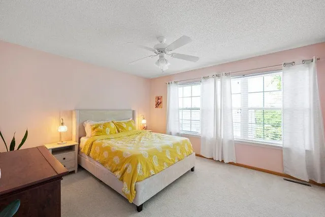 $229,000 | 849 Providence Drive, Shakopee, MN 55379