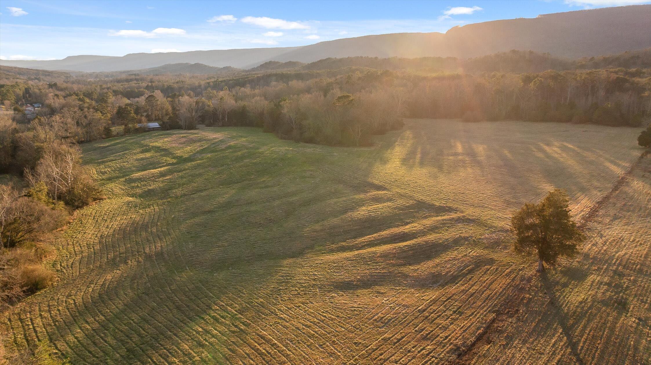 0 West Cove Road, Unit 96 4 AC Chickamauga, GA 30707 - Photo 17 of 70 14-W Cove - 90 Acres-13