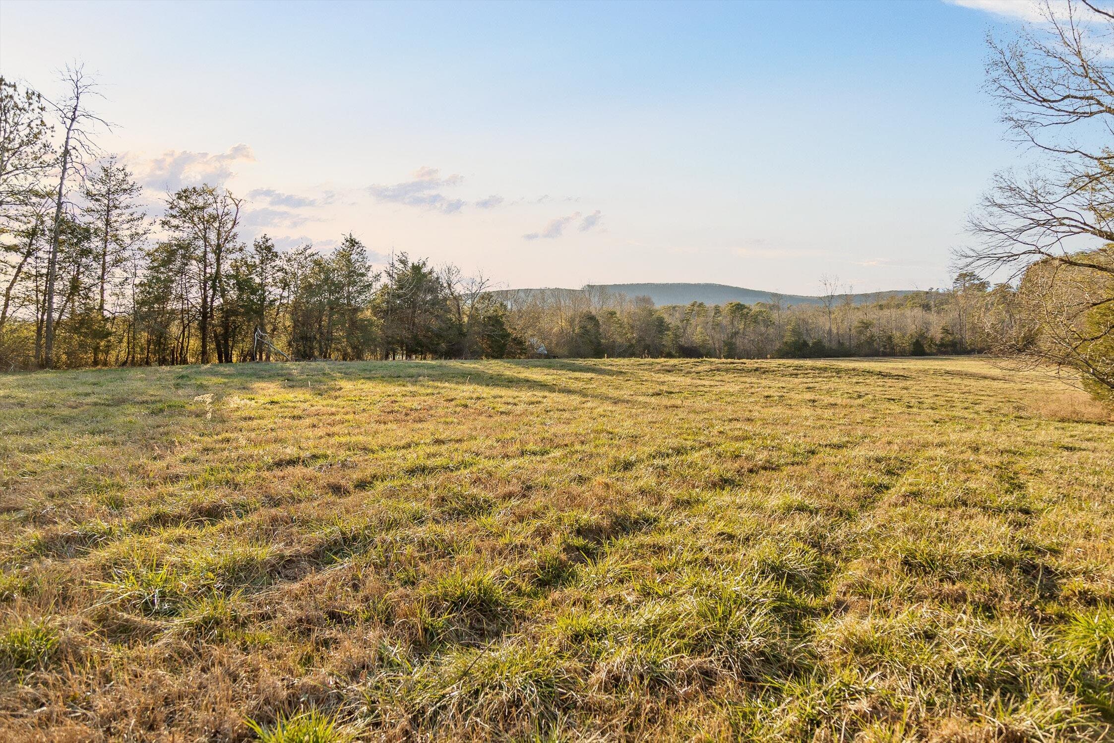 0 West Cove Road, Unit 96 4 AC Chickamauga, GA 30707 - Photo 2 of 70 46-W Cove (90 Acres)-31